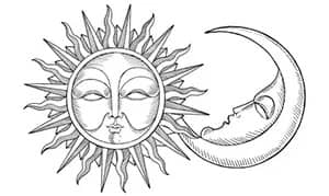 holistic transformation